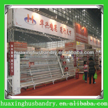 new design high quality large scale hot selling baby chicken cage